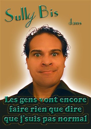 Affiche de Sully Bis dans Les gens vont encore faire rien que dire que j'suis pas normal