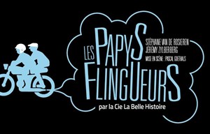 Affiche de Les Papys Flingueurs