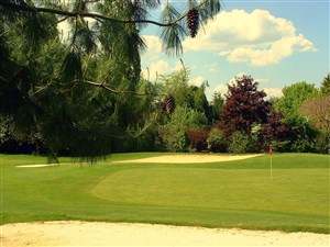 Affiche de Repas puis Initiation au Golf