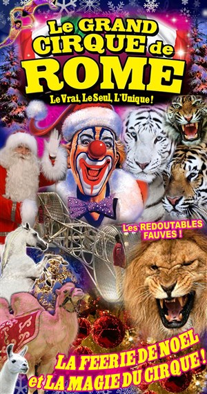 Affiche de Le Cirque de Noël du Grand Cirque de Rome | - Montpellier