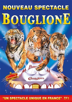 Affiche de Cirque Bouglione dans Surprise | - Grenoble