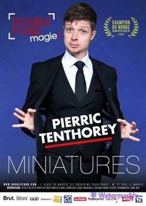 Affiche de Pierric Tenthorey dans Miniatures