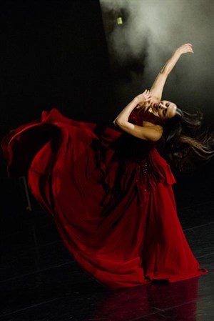 Affiche de Puccini | par le ballet Julien Lestel