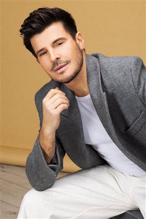 Affiche de Vincent Niclo