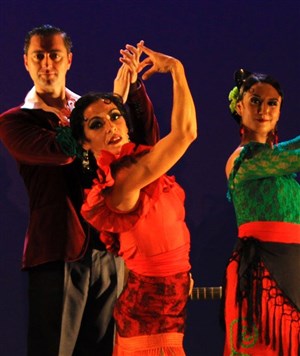 Affiche de Flamenco argentino