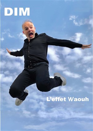 Affiche de Dim dans L'Effet waouh