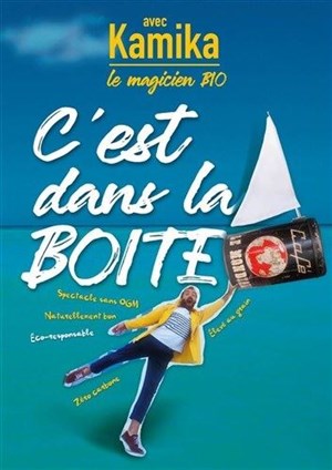 Affiche de C'est dans la boîte