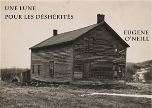 Affiche de Une lune pour les déshérités