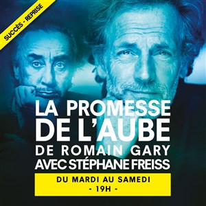 Affiche de La promesse de l'aube | par Stéphane Freiss