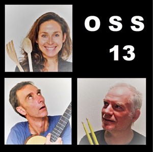Affiche de OSS 13