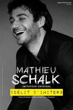 Affiche de Mathieu schalk dans Délit d'imiter