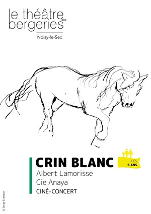 Affiche de Crin Blanc
