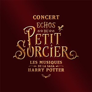 Affiche de Echos du petit sorcier | Sausheim