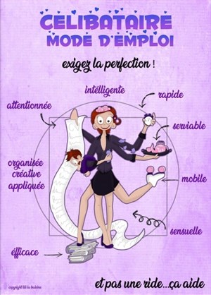 Affiche de Célibataire Mode d'emploi