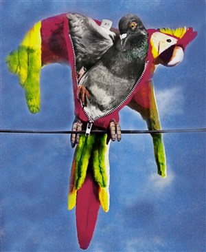 Affiche de Birdy