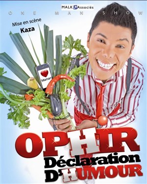 Affiche de Ophir Showman dans Déclaration d'Humour
