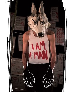 Affiche de White dog