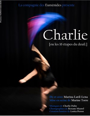Affiche de Charlie, ou les 16 étapes du deuil