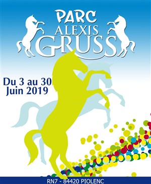 Affiche de Les journées au Parc Alexis Gruss