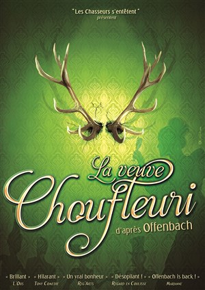 Affiche de La Veuve Choufleuri