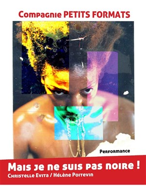Affiche de Mais je ne suis pas noire !