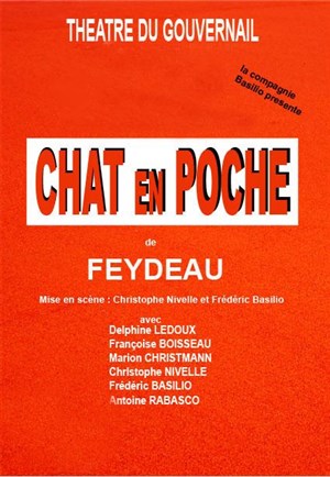 Affiche de Le chat en poche