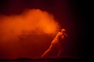 Affiche de Le dodo et le voyageur