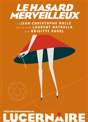Affiche de Le Hasard Merveilleux