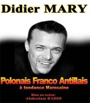 Affiche de Didier Mary dans Polonais Franco Antillais à tendance Marocaine