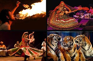 Affiche de Cirque Bouglione | Gypsy Connection