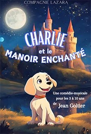 Affiche de Charlie et le manoir enchanté