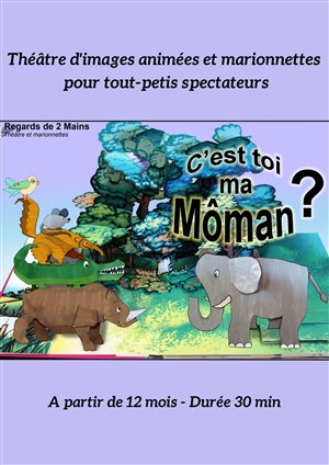 Affiche de Dis...c'est toi ma môman?