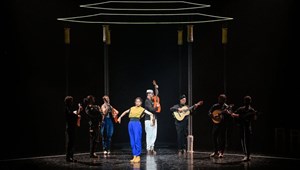 Affiche de Tous les bruits du monde : Bate Fado