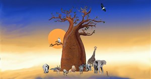Affiche de Le baobab