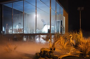 Affiche de Swamp Club