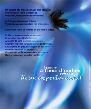 Affiche de A fleur d'ombres