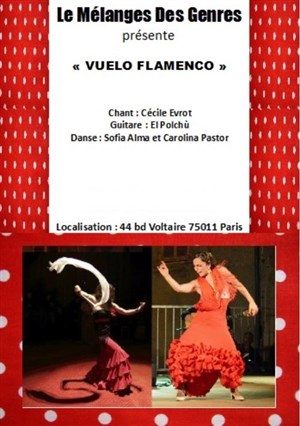 Affiche de Flamenco au mélange des genres