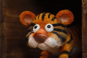 Affiche de Le tigre et les animaux de la forêt