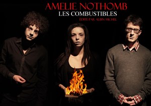 Affiche de Les combustibles | D'Amélie Nothomb