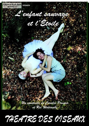 Affiche de L'enfant Sauvage et l'Etoile