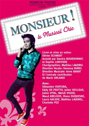 Affiche de Monsieur! Le Musical Chic