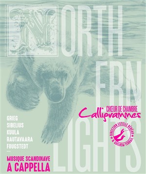 Affiche de Northern Lights