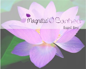 Affiche de Atelier : Apprendre à gérer la colère