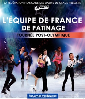 Affiche de Tournée de l'Equipe de France de Patinage 2014