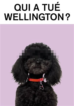 Affiche de Qui a tué Wellington ?