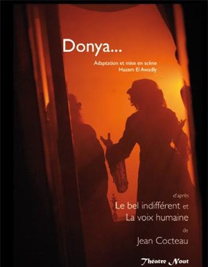 Affiche de Le bel indifférent