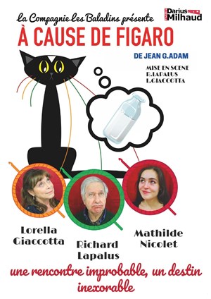 Affiche de A cause de Figaro
