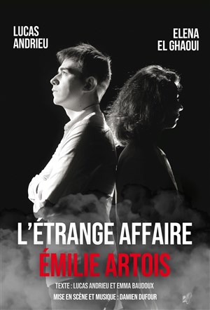 Affiche de L'étrange affaire Émilie Artois