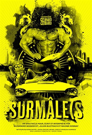 Affiche de SurMâle(S