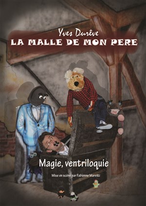 Affiche de La malle de mon père